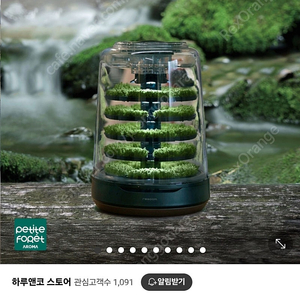 쁘띠포레 화이트 이끼청정기