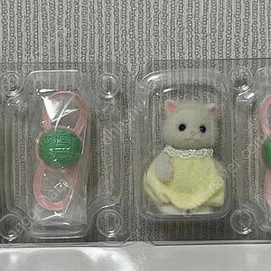 실바니안 바다 블라인드백 페르시안