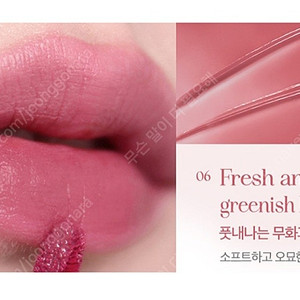미개봉 새상품) 클리오 퓨어 블러 틴트 06 풋내나는무화과 봄웜 여쿨뮤트