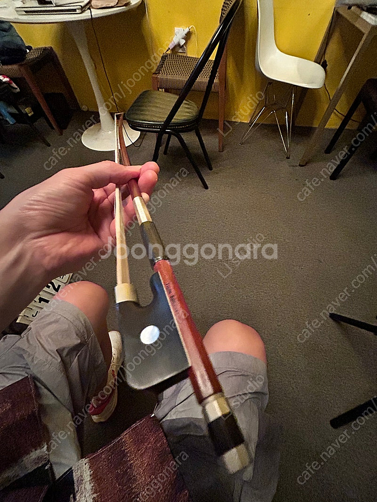 글로리아 비올라 16인치--8