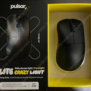 펄사 xlite4 crazylight 펄엑크라