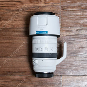 캐논 RF 100-500mm F4.5-7.1 L IS USM 렌즈