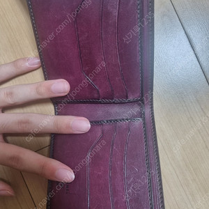 벨루티 반지갑(급처)
