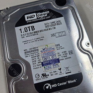 WD HDD 1TB Black 1개, Blue 1