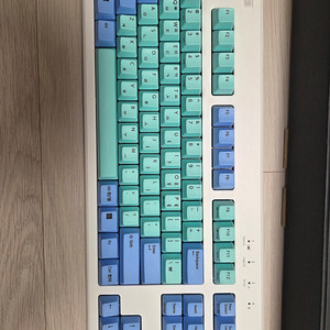 리얼포스 R3BT APC 30g 민트 블루 유/무선 토프레 무접점 키보드 팝니다