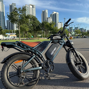 자토바이 Deepower 2000w 35ah 대용량배터리 (3주전 신품구매)