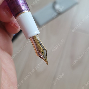 세일러 만년필 21k닙 완쳐 한정