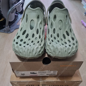 (250)머렐 하이드로목 샌들