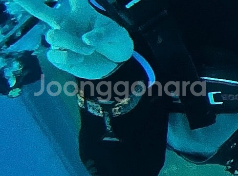순토 줍 노보 스쿠버 다이빙 컴퓨터--1