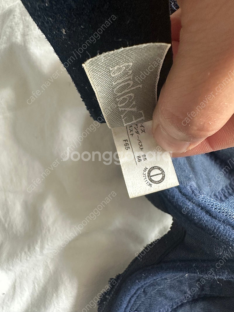 엑사브라 보정브라 미디 f65 네이비--2