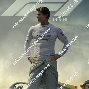 CGV 아이맥스, 4DX/CGV, 롯데시네마, 메가박스/ 일반 및 리클라이너, 컴포트관, 수퍼플렉스, MX4D 등