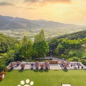 8월2일(1박)켄싱턴리조트 충주(애견동반) 4인 가능(조식4인포함)