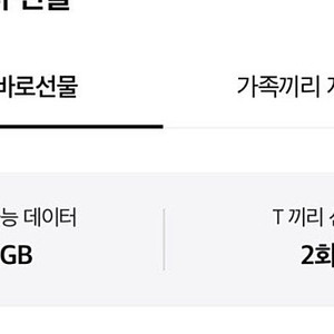 SK 데이터 2기가