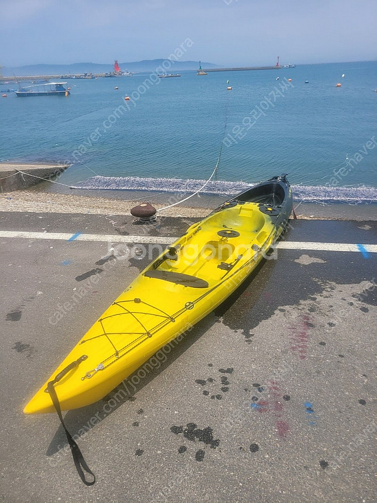 [대전]바이킹리로드 피싱카약 동력+어탐기 풀세팅 판매,...--8