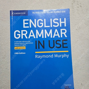 English grammar in use