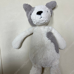 젤리캣 강아지 M사이즈