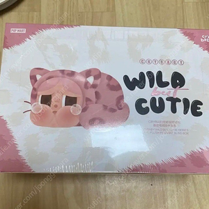 와일드 벗 큐티 크라이베이비 표범 냥이 팝마트 정품 새상품