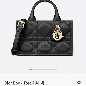 디올 까나쥬 북토트 미니 블랙