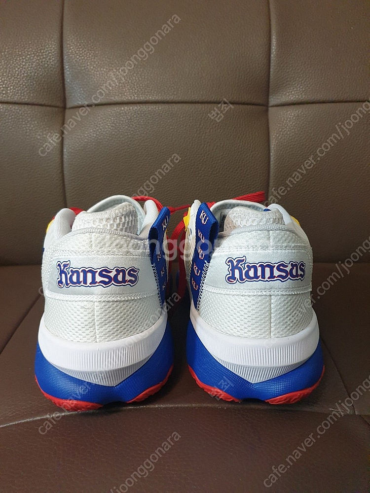 [270] Kansas Jayhawks Dame8--5