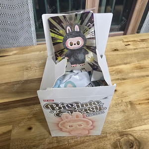 라부부 하이라이트 시크릿 새상품