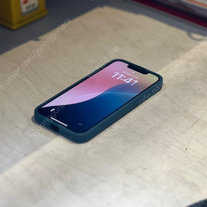 아이폰 13 미니 블루 128GB
