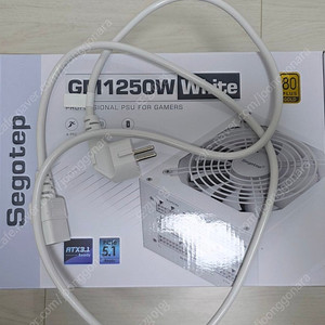 Segotep GM1250W 80PLUS골드 풀모듈러 ATX3.1 화이트 팝니다.
