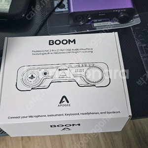 Apogee Boom 아포지 붐 오디오인터페이스