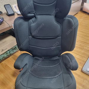 페도라 카시트