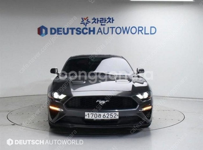 머스탱중고 상태좋은중고차 외제차중고 용도변경이력없음--0