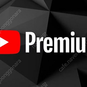 유튜브 프리미엄 가족 내돈내산 페루 안도 터키 우크라이나 vpn 우회 이제그만