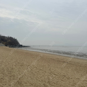 원피스 삼대장 피규어 삽니다