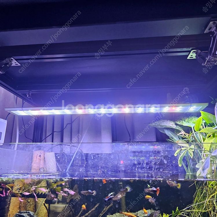 프로파일 축양장 2자광폭용 2단 풀세트 @용인@--2