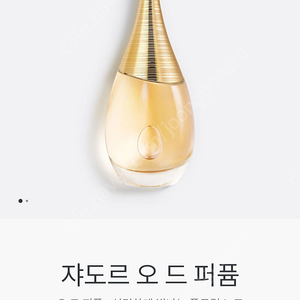 디올 자도르 오 드 퍼퓸 100ml