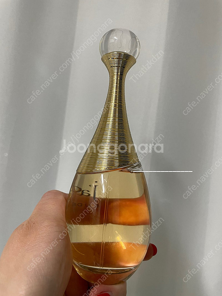 디올 자도르 오 드 퍼퓸 100ml--1