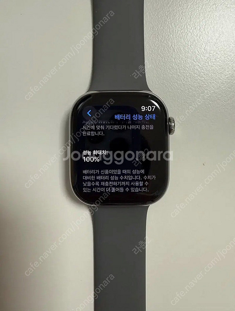 애플워치10 티타늄 46mm 내추럴 정품스트랩--5