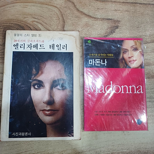 불멸의 스타 앨범..엘리자베드 테일러 /마돈나 . 이미지