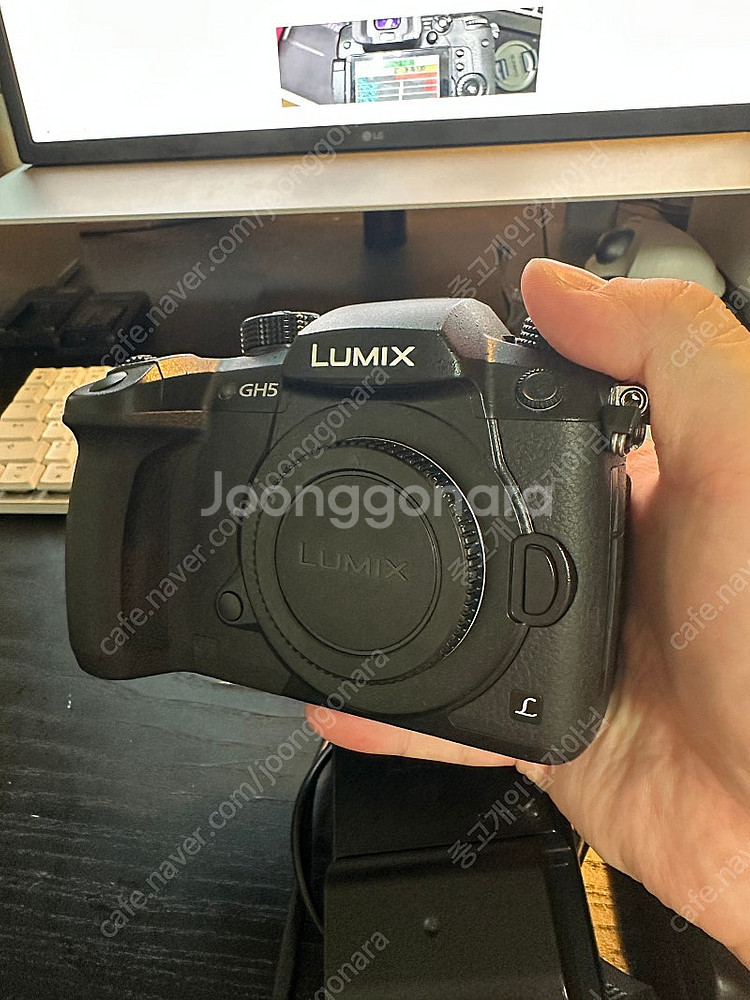 파나소닉 루믹스 GH5--2