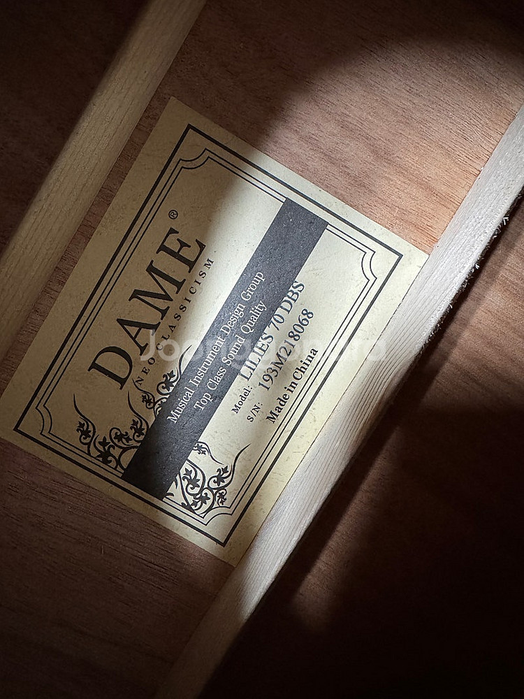 Dame lilies 70 데임 릴리즈 기타 (새상품)--3
