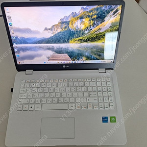A+ 11th 고성능 LG울트라북 X8+MX450, 16G, 1TB(NVME+SSD), 정품 윈11(대폭 내림)