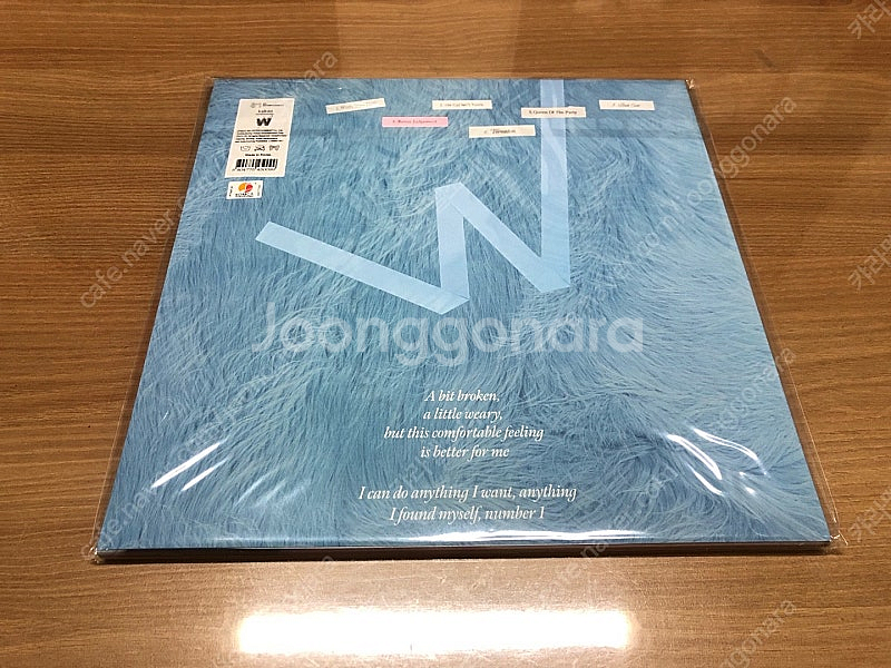 웬디 미니앨범 2집 Wish You Hell LP 미개...--0