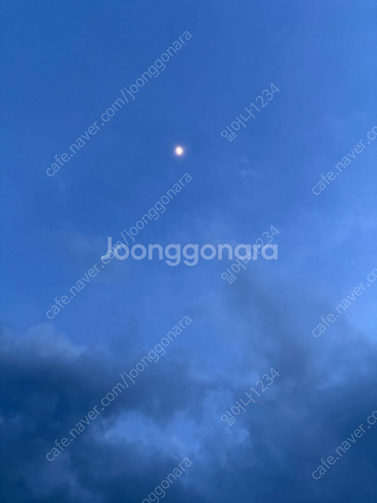 롯데 자이언츠 선예매권 구매희망!!!--0