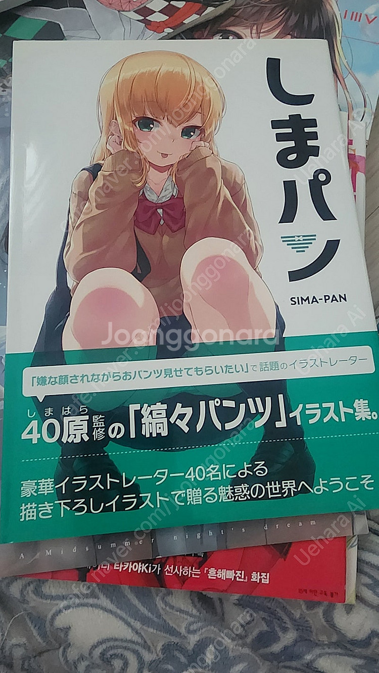 각종 작가 일러스트, 화집 판매합니다 (안미,타카야키,...--6