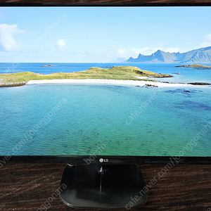 LG 24인치 LED 모니터 24MP48HQ 팝니다