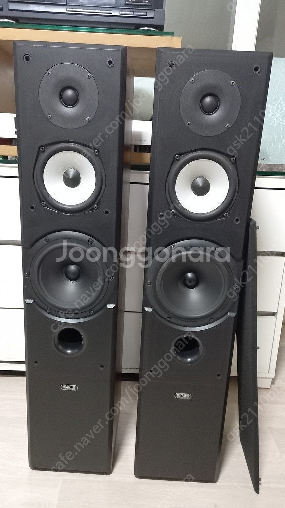 AE 어코스틱 에너지 EVO 3 스피커--0