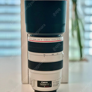 캐논 ef 70-300mm F4-5.6L IS USM 할매백통