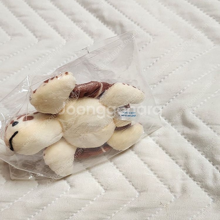 바다거북이 해양생물 가챠 인형 키링--2