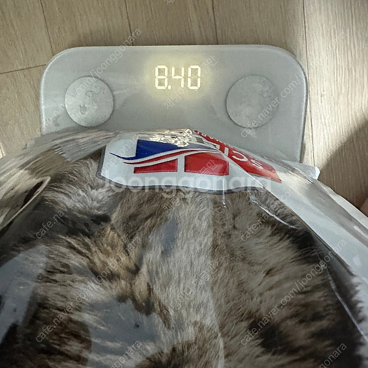 힐스 어덜트 치킨 8.4kg, 아투 캣 치킨 0.93k...--1