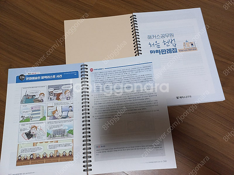 해커스공무원 처음 헌법 만화판례집--0