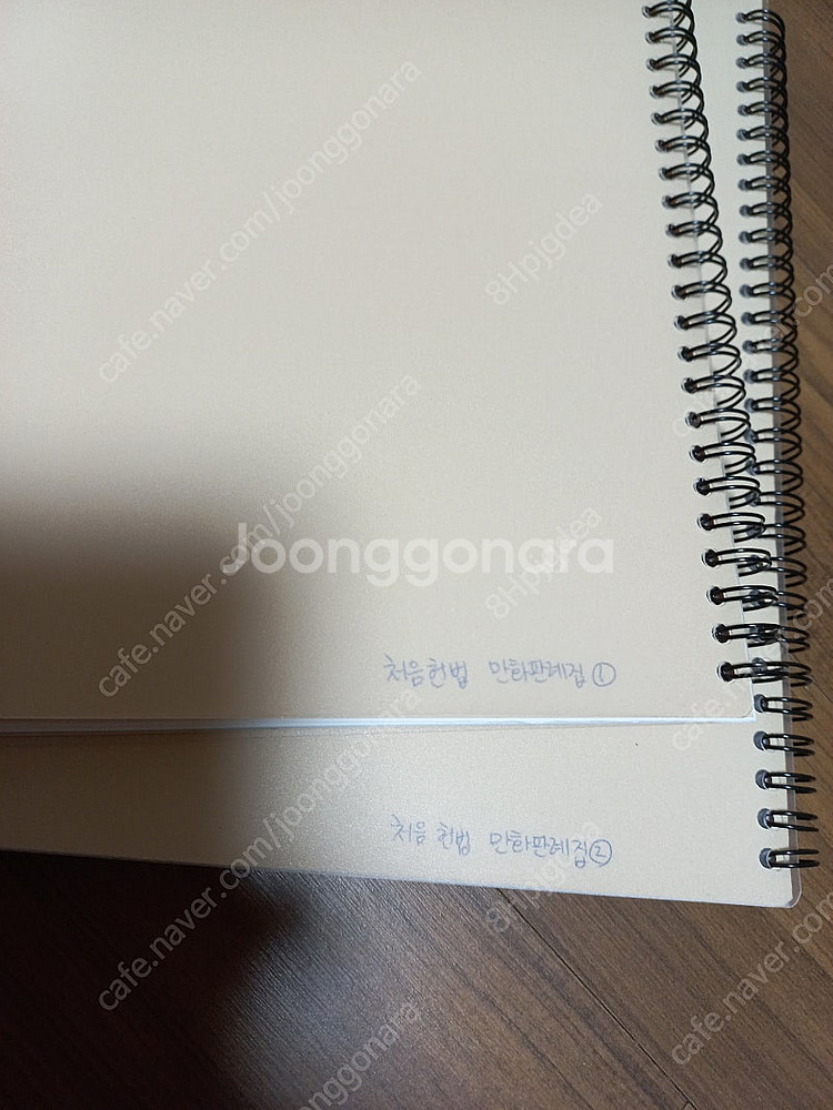 해커스공무원 처음 헌법 만화판례집--2
