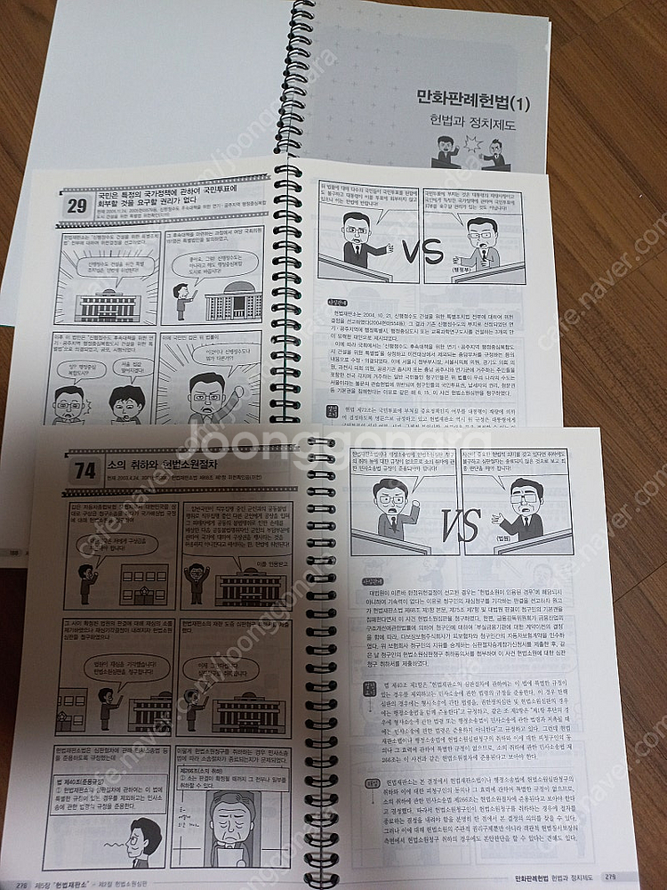 만화 판례헌법1 : 헌법과 정치제도 (성낙인 지음 법률...--0